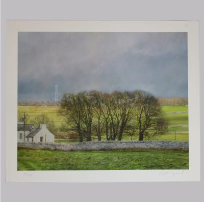 The Mast 2026. Signed limited edition giclee print.  325mm x 445mm.